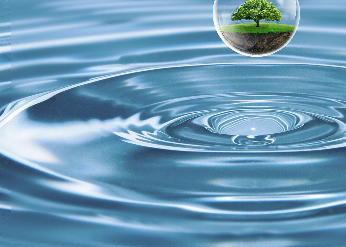 歡迎參觀我們的網站